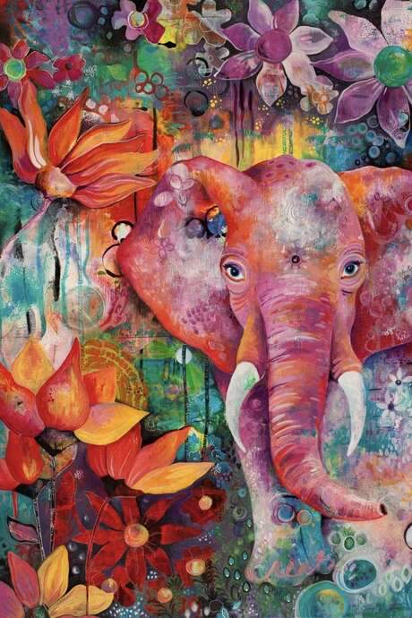 A Fuchsia Elephant